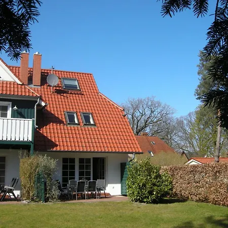 Kormoran Muschelsucher * Prerow