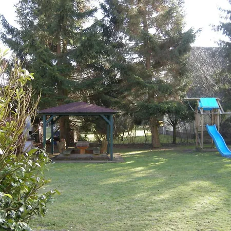 Kormoran Muschelsucher