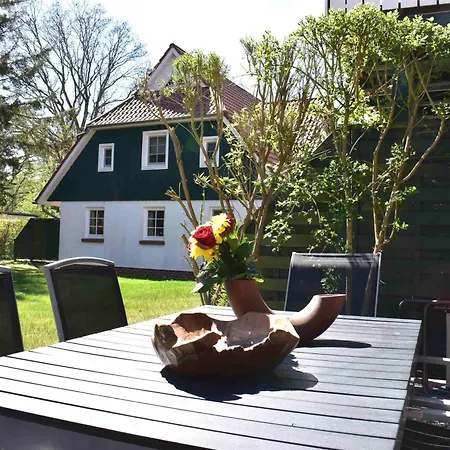 Kormoran Muschelsucher Сasa de vacaciones