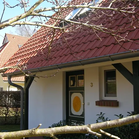 Kormoran Muschelsucher *