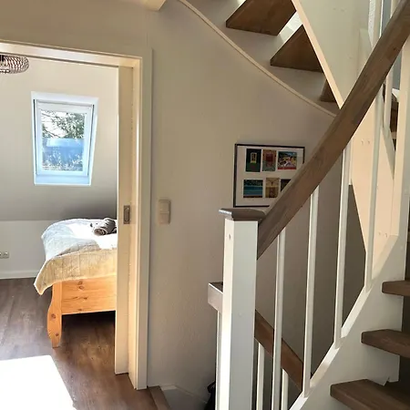 Kormoran Muschelsucher *