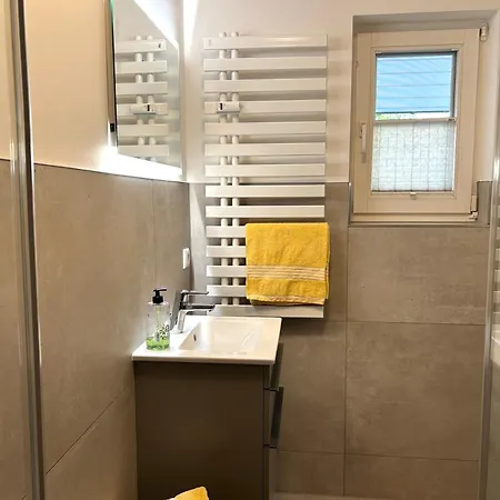 Kormoran Muschelsucher * Prerow