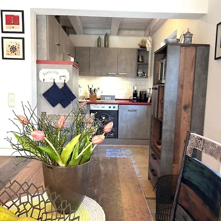 Kormoran Muschelsucher Prerow