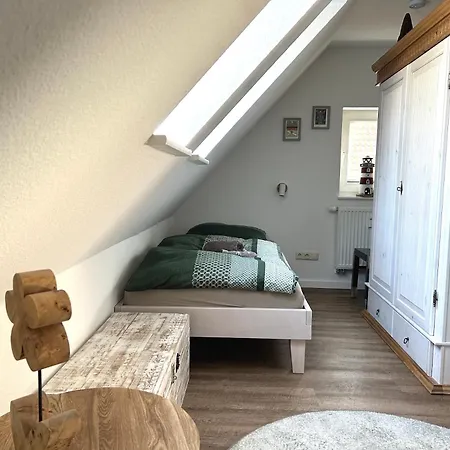 Kormoran Muschelsucher Сasa de vacaciones Prerow