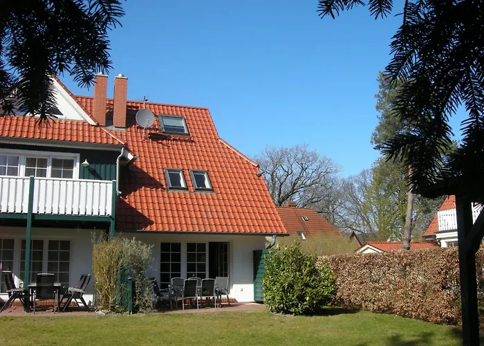 Kormoran Muschelsucher * 프레로