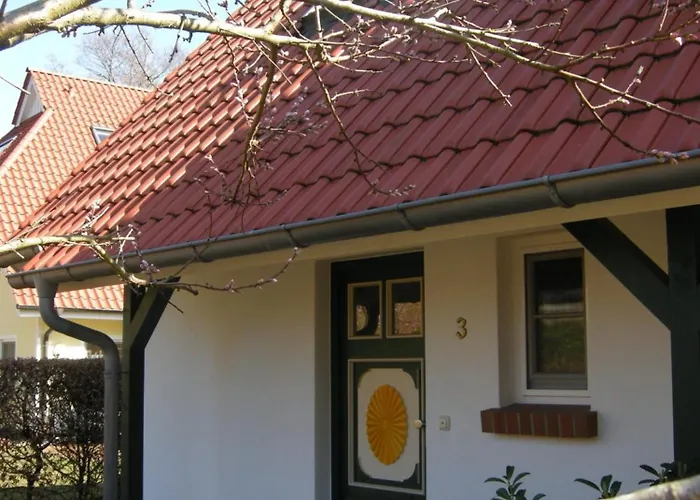 Kormoran Muschelsucher *