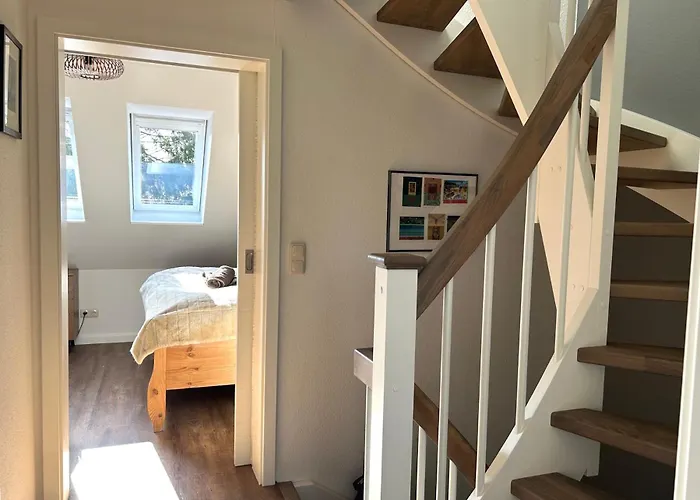 Kormoran Muschelsucher *